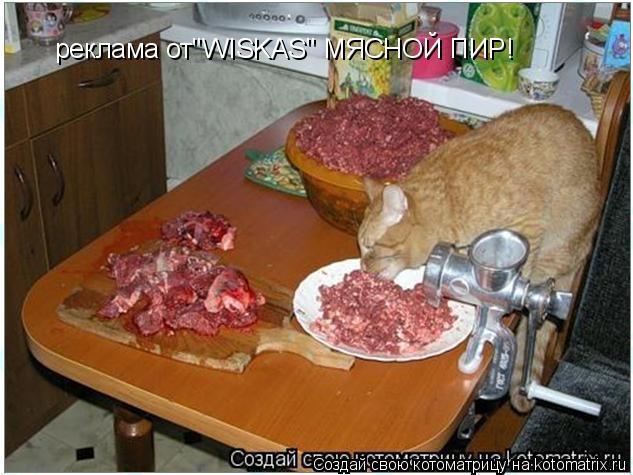 реклама от"WISKAS" МЯСНОЙ ПИР!... Котоматрица: реклама от"WISKAS" МЯСНОЙ ПИР!