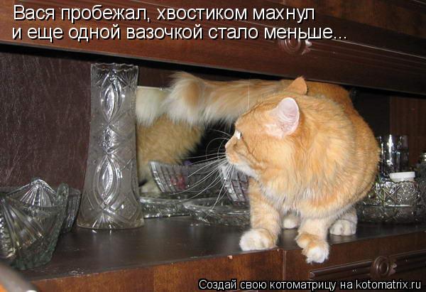 Вася пробежал, хвостиком махнул и еще одной вазочкой стало меньше...... Котоматрица: Вася пробежал, хвостиком махнул и еще одной вазочкой стало меньше...