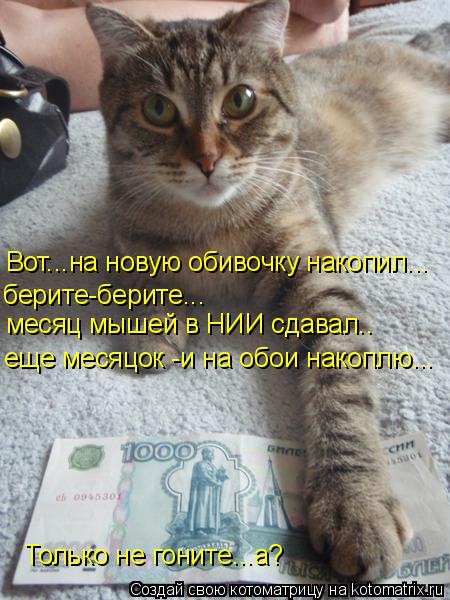Котоматрица: Вот...на новую обивочку накопил... берите-берите... месяц мышей в НИИ сдавал.. еще месяцок -и на обои накоплю... Только не гоните...а?