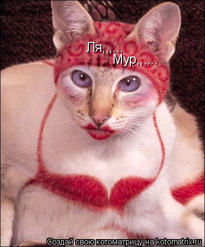 Ля,,,... Мур,,,...... Котоматрица: Ля,,,... Мур,,,...