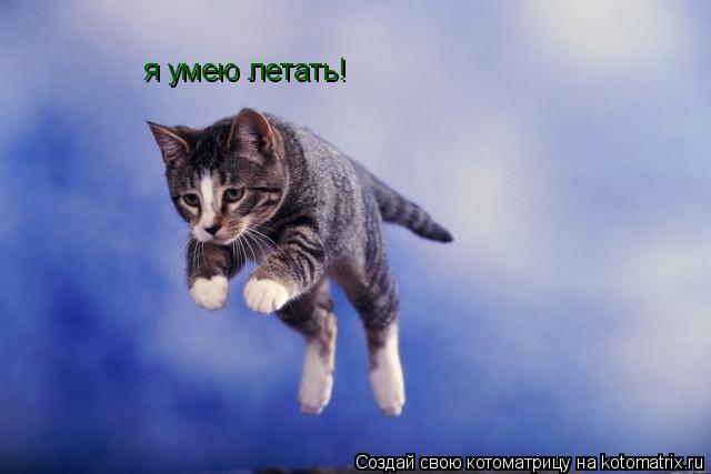 я умею летать!... Котоматрица: я умею летать!