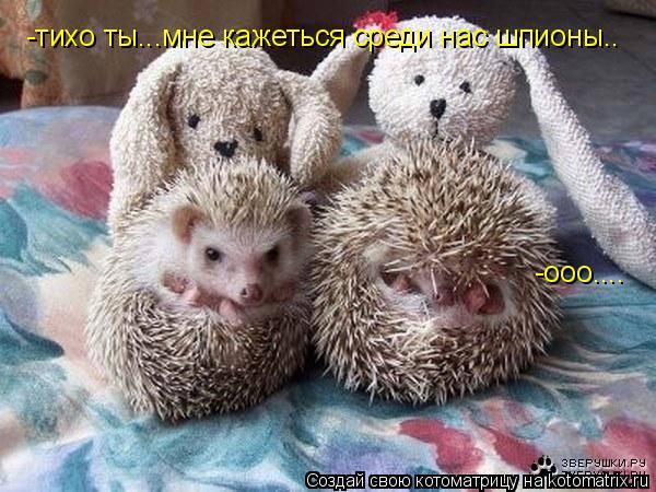 -тихо ты...мне кажеться среди нас шпионы.. -ооо....... Котоматрица: -тихо ты...мне кажеться среди нас шпионы.. -ооо....