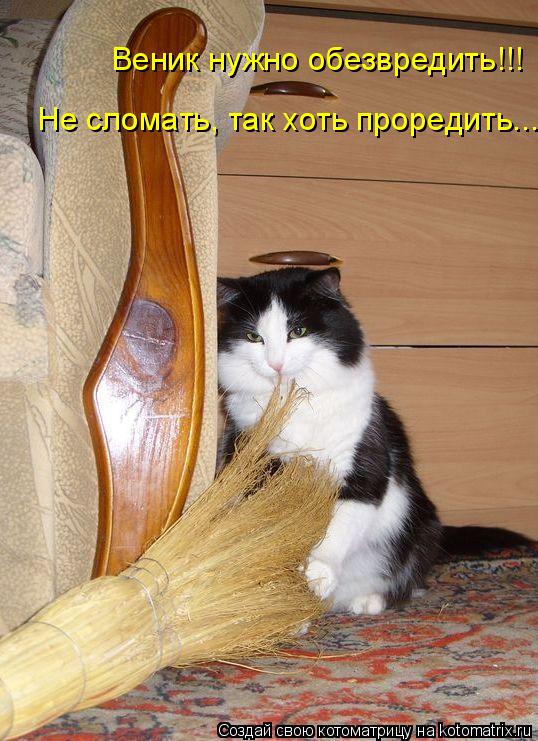Котоматрица: Веник нужно обезвредить!!! Не сломать, так хоть проредить...
