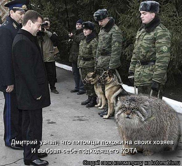 Дмитрий узнал, что питомцы похожи на своих хозяев И выбрал себе подходящего КОТА... Котоматрица: Дмитрий узнал, что питомцы похожи на своих хозяев И выбрал себе подходящего КОТА
