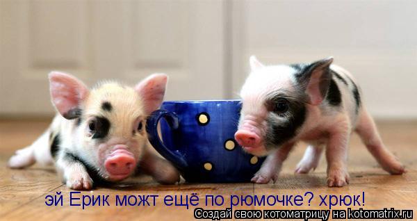 эй Ерик можт ещё по рюмочке? хрюк!... Котоматрица: эй Ерик можт ещё по рюмочке? хрюк!
