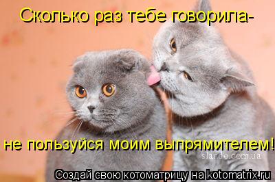 Сколько раз тебе говорила- не пользуйся моим выпрямителем!... Котоматрица: Сколько раз тебе говорила- не пользуйся моим выпрямителем!