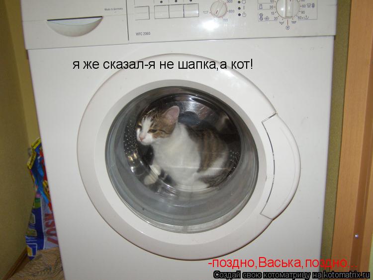 я же сказал-я не шапка,а кот! -поздно,Васька,поздно...... Котоматрица: я же сказал-я не шапка,а кот! -поздно,Васька,поздно...