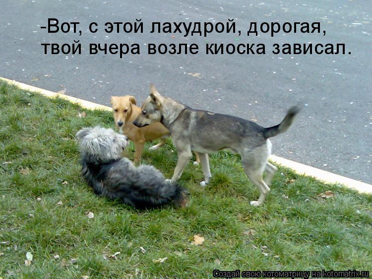 твой вчера возле киоска зависал. -Вот, с этой лахудрой, дорогая,... Котоматрица: твой вчера возле киоска зависал. -Вот, с этой лахудрой, дорогая,
