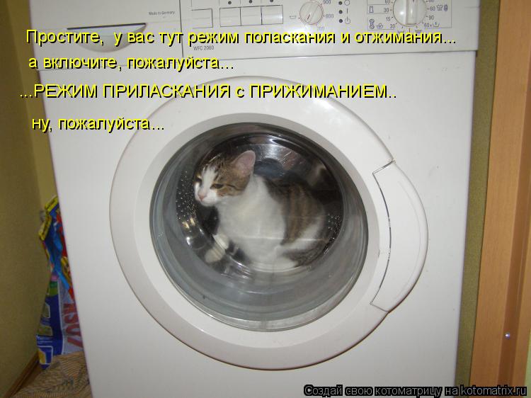 Котоматрица: Простите,  у вас тут режим поласкания и отжимания... ...РЕЖИМ ПРИЛАСКАНИЯ с ПРИЖИМАНИЕМ.. а включите, пожалуйста... ну, пожалуйста...