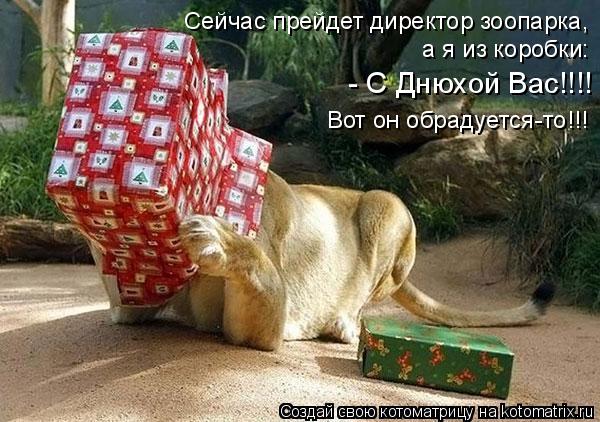 Сейчас прейдет директор зоопарка, а я из коробки: - С Днюхой Вас!!!! Вот он обрадуется-то!!!... Котоматрица: Сейчас прейдет директор зоопарка, а я из коробки: - С Днюхой Вас!!!! Вот он обрадуется-то!!!
