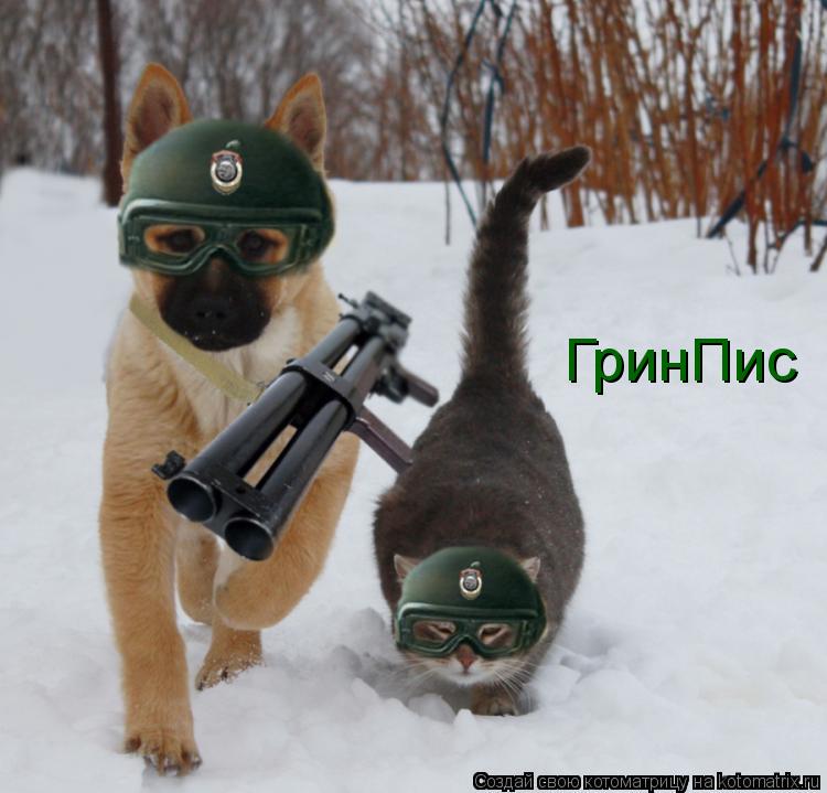 Котоматрица: ГринПис