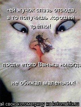Котоматрица: -ей жучок слазь отсюда, а то получишь хорошей трёпки! после етого Ванька никогда не обижал маленьких!