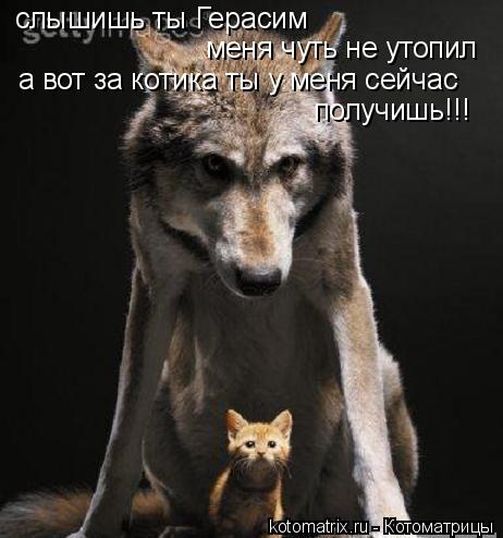 Котоматрица: слышишь ты Герасим меня чуть не утопил а вот за котика ты у меня сейчас получишь!!!