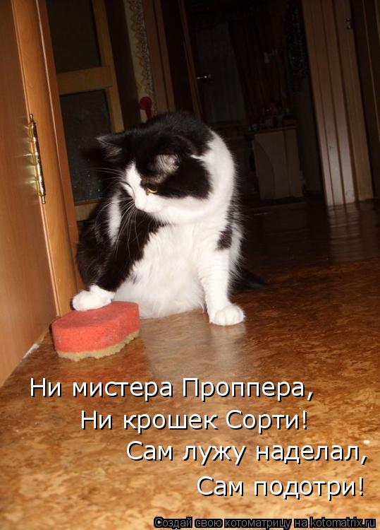 Ни мистера Проппера, Ни крошек Сорти! Сам лужу наделал, Сам подотри!... Котоматрица: Ни мистера Проппера, Ни крошек Сорти! Сам лужу наделал, Сам подотри!