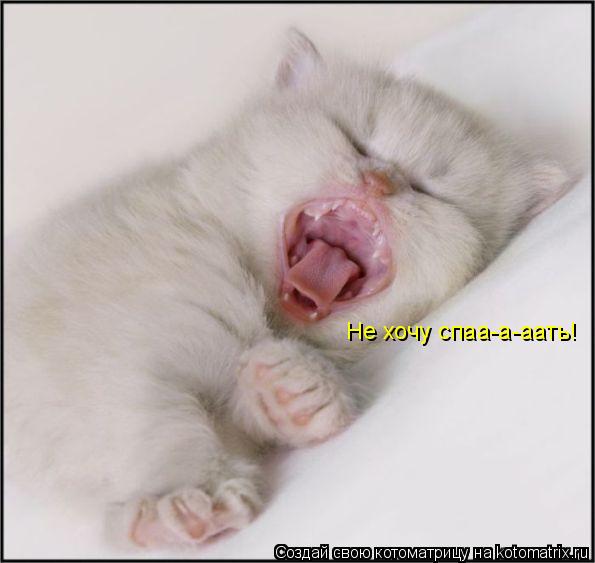 Котоматрица: Не хочу спаа-а-аать!
