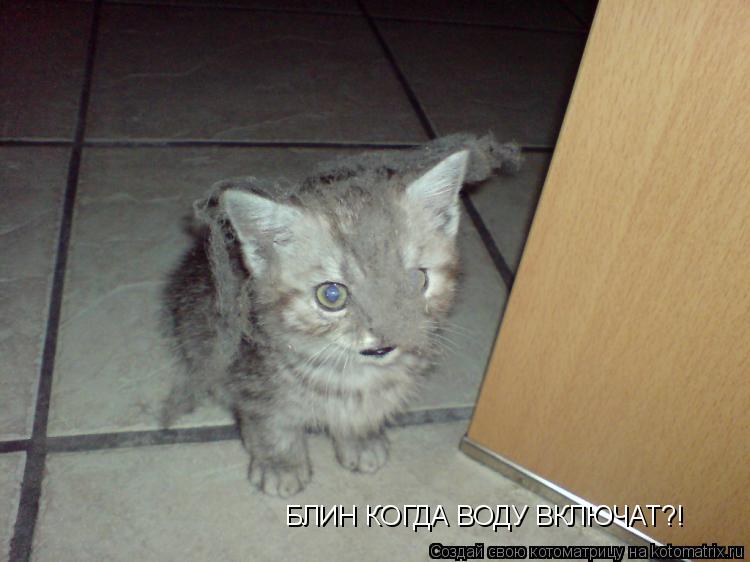 Котоматрица: БЛИН  КJULF  БЛИН КОГДА ВОДУ ВКЛЮЧАТ?!