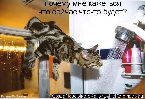 Котоматрица: -почему мне кажеться, что сейчас что-то будет?
