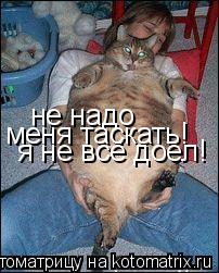 Котоматрица: не надо  меня таскать! я не всё доел!