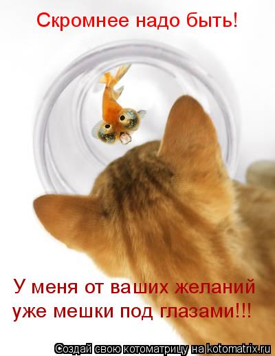 Скромнее надо быть! У меня от ваших желаний уже мешки под глазами!!!... Котоматрица: Скромнее надо быть! У меня от ваших желаний уже мешки под глазами!!!