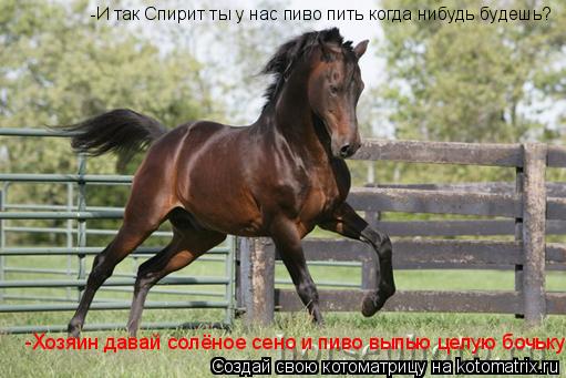 Котоматрица: -И так Спирит ты у нас пиво пить когда нибудь будешь? -Хозяин давай солёное сено и пиво выпью целую бочьку!