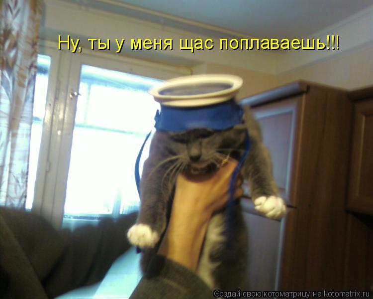 Котоматрица: Ну, ты у меня щас поплаваешь!!!