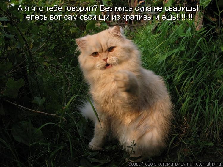 Котоматрица: А я что тебе говорил? Без мяса супа не сваришь!!! Теперь вот сам свои щи из крапивы и ешь!!!!!!!