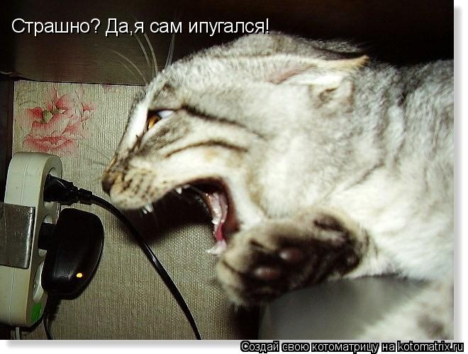 Котоматрица: Страшно? Да,я сам ипугался!