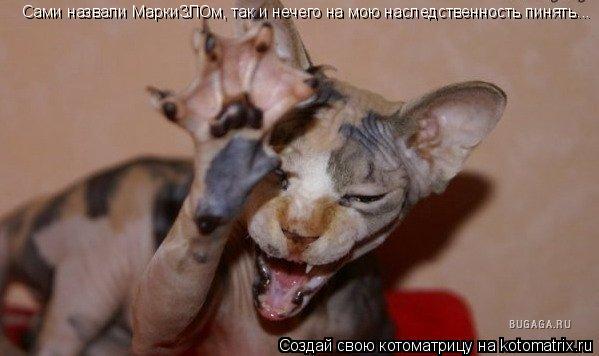 Котоматрица: Сами назвали МаркиЗЛОм, так и нечего на мою наследственность пинять...