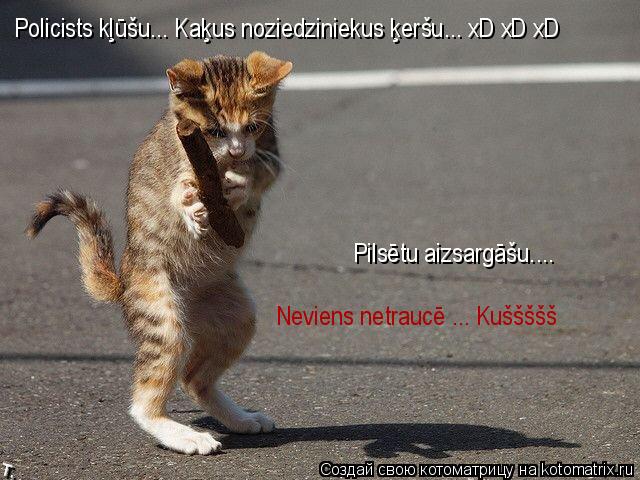 Котоматрица: Policists k&#316;&#363;&#353;u... Ka&#311;us noziedziniekus &#311;er&#353;u... xD xD xD Pils&#275;tu aizsarg&#257;&#353;u.... Neviens netrauc&#275; ..
