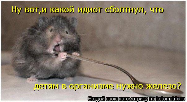 Котоматрица: Ну вот,и какой идиот сболтнул, что  детям в организме нужно железо?