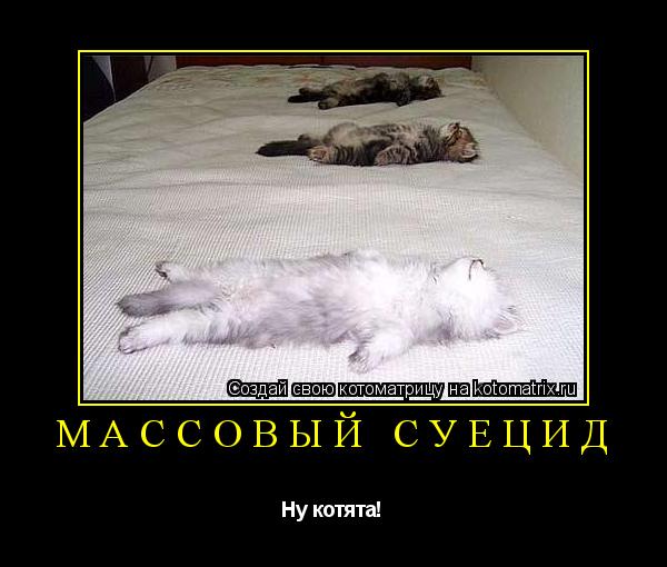 Котоматрица: Массовый суецид Ну котята!