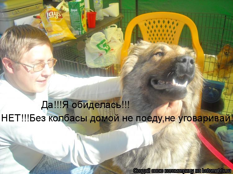 Да!!!Я обиделась!!! НЕТ!!!Без колбасы домой не поеду,не уговаривай!!!!... Котоматрица: Да!!!Я обиделась!!! НЕТ!!!Без колбасы домой не поеду,не уговаривай!!!!
