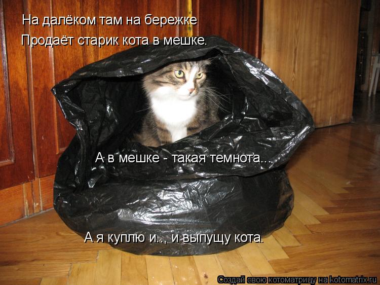 Котоматрица: На далёком там на бережке Продаёт старик кота в мешке. А в мешке - такая темнота... А я куплю и.., и выпущу кота.