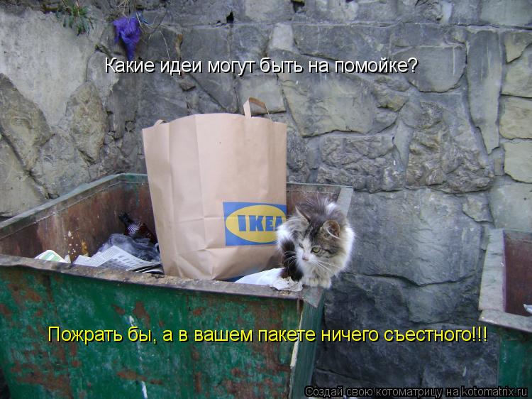Какие идеи могут быть на помойке? Пожрать бы, а в вашем пакете ничего съестного!!!... Котоматрица: Какие идеи могут быть на помойке? Пожрать бы, а в вашем пакете ничего съестного!!!