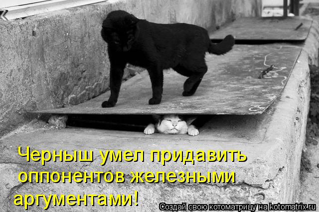 Котоматрица: Черныш умел придавить  оппонентов железными  аргументами!
