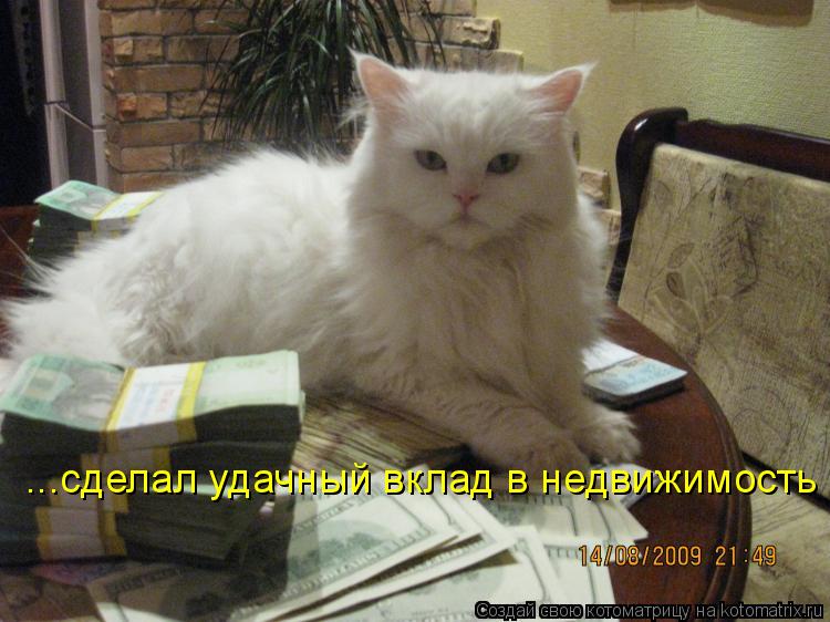 ...сделал удачный вклад в недвижимость... Котоматрица: ...сделал удачный вклад в недвижимость