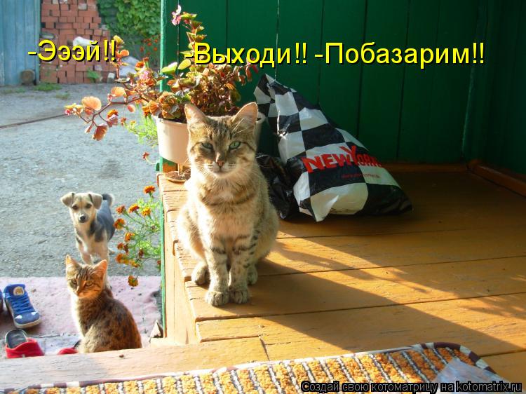 -Эээй!! -Выходи!! -Побазарим!!... Котоматрица: -Эээй!! -Выходи!! -Побазарим!!