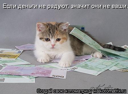 Котоматрица: Если деньги не радуют, значит они не ваши.