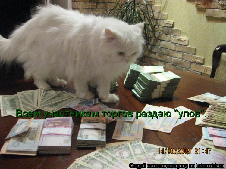 Котоматрица: Всем участникам торгов раздаю "улов"...