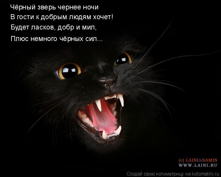 Чёрный зверь чернее ночи В гости к добрым людям хочет! Будет ласков, добр и мил, Плюс немного чёрных ... Котоматрица: Чёрный зверь чернее ночи В гости к добрым людям хочет! Будет ласков, добр и мил, Плюс немного чёрных сил...
