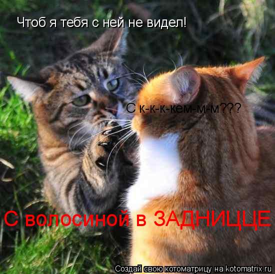 Чтоб я тебя с ней не видел! С к-к-к-кем-м-м??? С волосиной в ЗАДНИЦЦЕ... Котоматрица: Чтоб я тебя с ней не видел! С к-к-к-кем-м-м??? С волосиной в ЗАДНИЦЦЕ