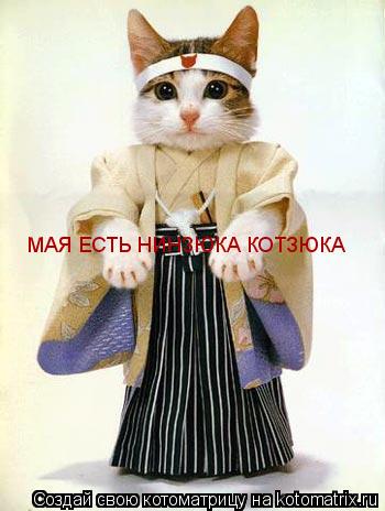 МАЯ ЕСТЬ НИНЗЮКА КОТЗЮКА... Котоматрица: МАЯ ЕСТЬ НИНЗЮКА КОТЗЮКА