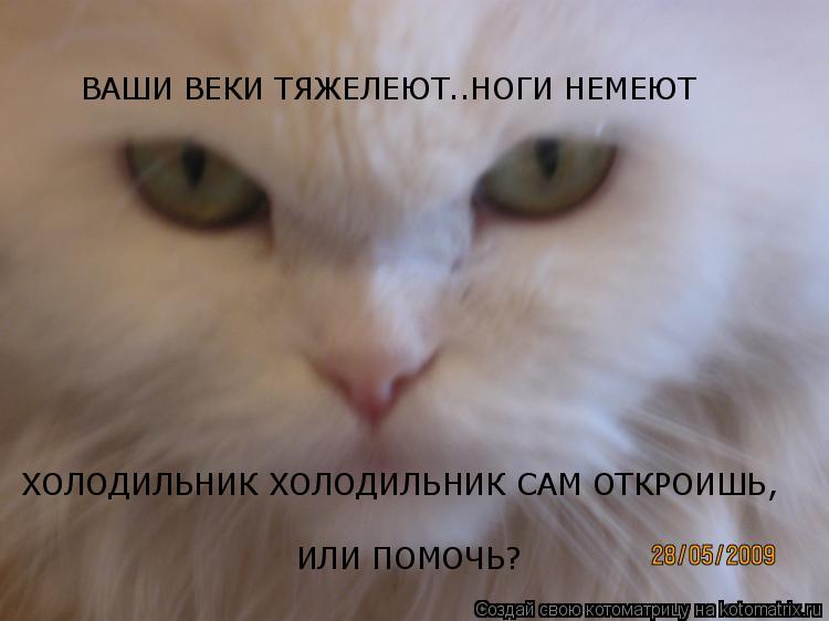 ВАШИ ВЕКИ ТЯЖЕЛЕЮТ..НОГИ НЕМЕЮТ ХОЛОДИЛЬНИК ХОЛОДИЛЬНИК САМ ОТКРОИШЬ, ИЛИ ПОМОЧЬ?... Котоматрица: ВАШИ ВЕКИ ТЯЖЕЛЕЮТ..НОГИ НЕМЕЮТ ХОЛОДИЛЬНИК ХОЛОДИЛЬНИК САМ ОТКРОИШЬ, ИЛИ ПОМОЧЬ?