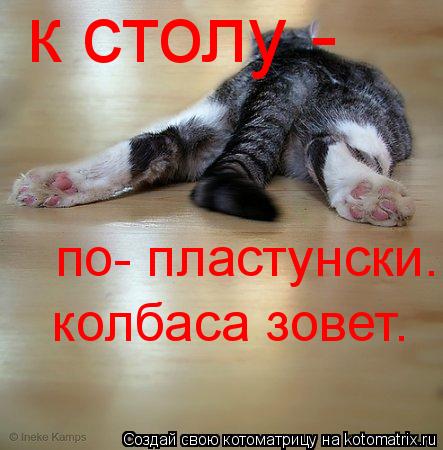 к столу - по- пластунски. колбаса зовет.... Котоматрица: к столу - по- пластунски. колбаса зовет.