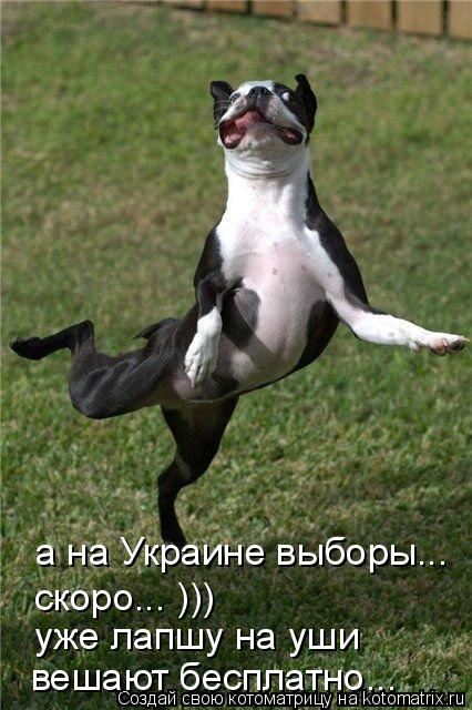 а на Украине выборы... скоро... ))) уже лапшу на уши вешают бесплатно...... Котоматрица: а на Украине выборы... скоро... ))) уже лапшу на уши вешают бесплатно...