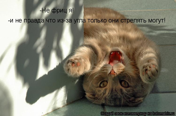 -Не фриц я! -и не правда что из-за угла только они стрелять могут!... Котоматрица: -Не фриц я! -и не правда что из-за угла только они стрелять могут!