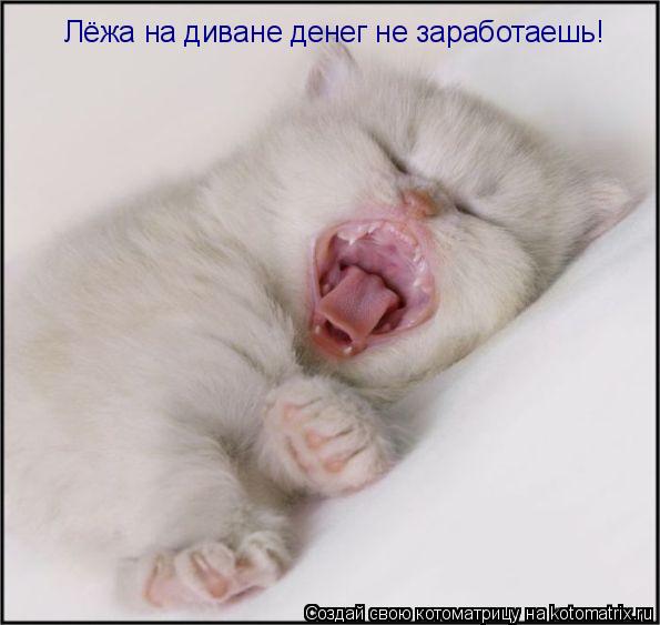 Лёжа на диване денег не заработаешь!... Котоматрица: Лёжа на диване денег не заработаешь!