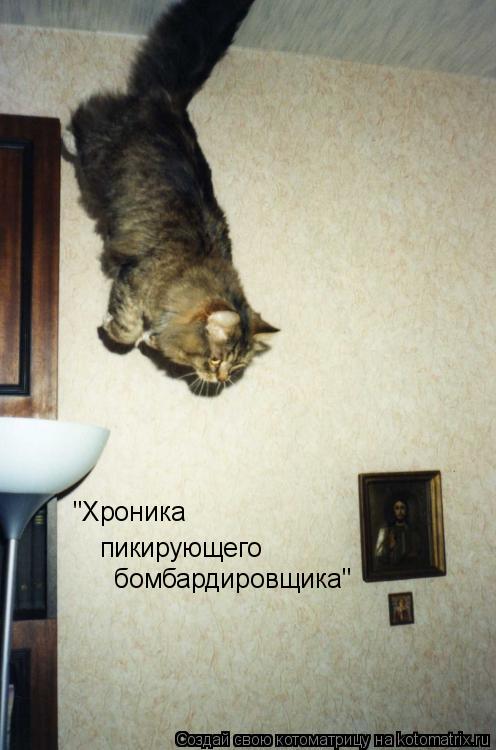 "Хроника пикирующего бомбардировщика"... Котоматрица: "Хроника пикирующего бомбардировщика"