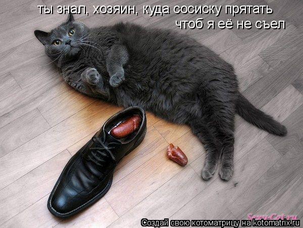 ты знал, хозяин, куда сосиску прятать чтоб я её не съел... Котоматрица: ты знал, хозяин, куда сосиску прятать чтоб я её не съел