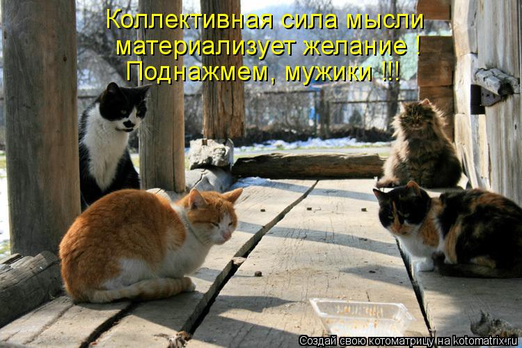 Коллективная сила мысли материализует желание ! Поднажмем, мужики !!!... Котоматрица: Коллективная сила мысли материализует желание ! Поднажмем, мужики !!!